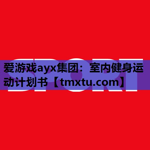 爱游戏ayx集团：室内健身运动计划书